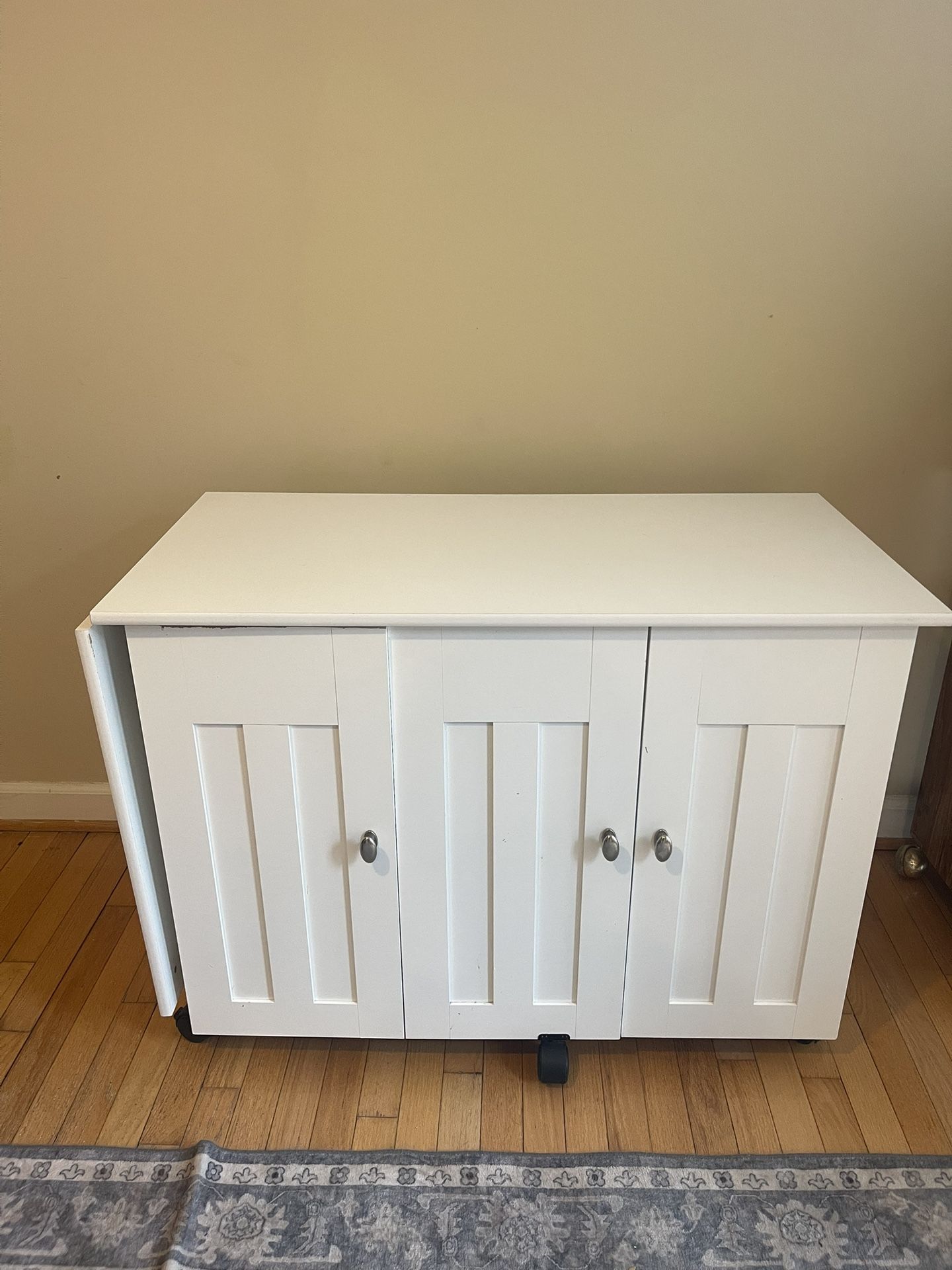 Sewing/craft Cabinet 