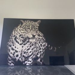 Leopard Wall Frame