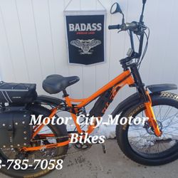 Fat Tire Electric Bike Duel Suspension 