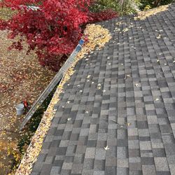 Gutter Cleaning 