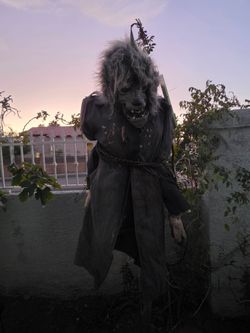 Wolf hanging prop