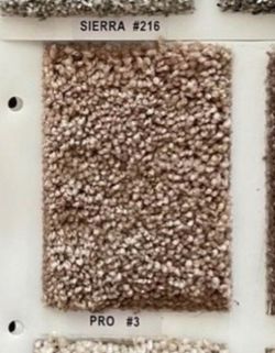 Pro 3 Carpet Sample
