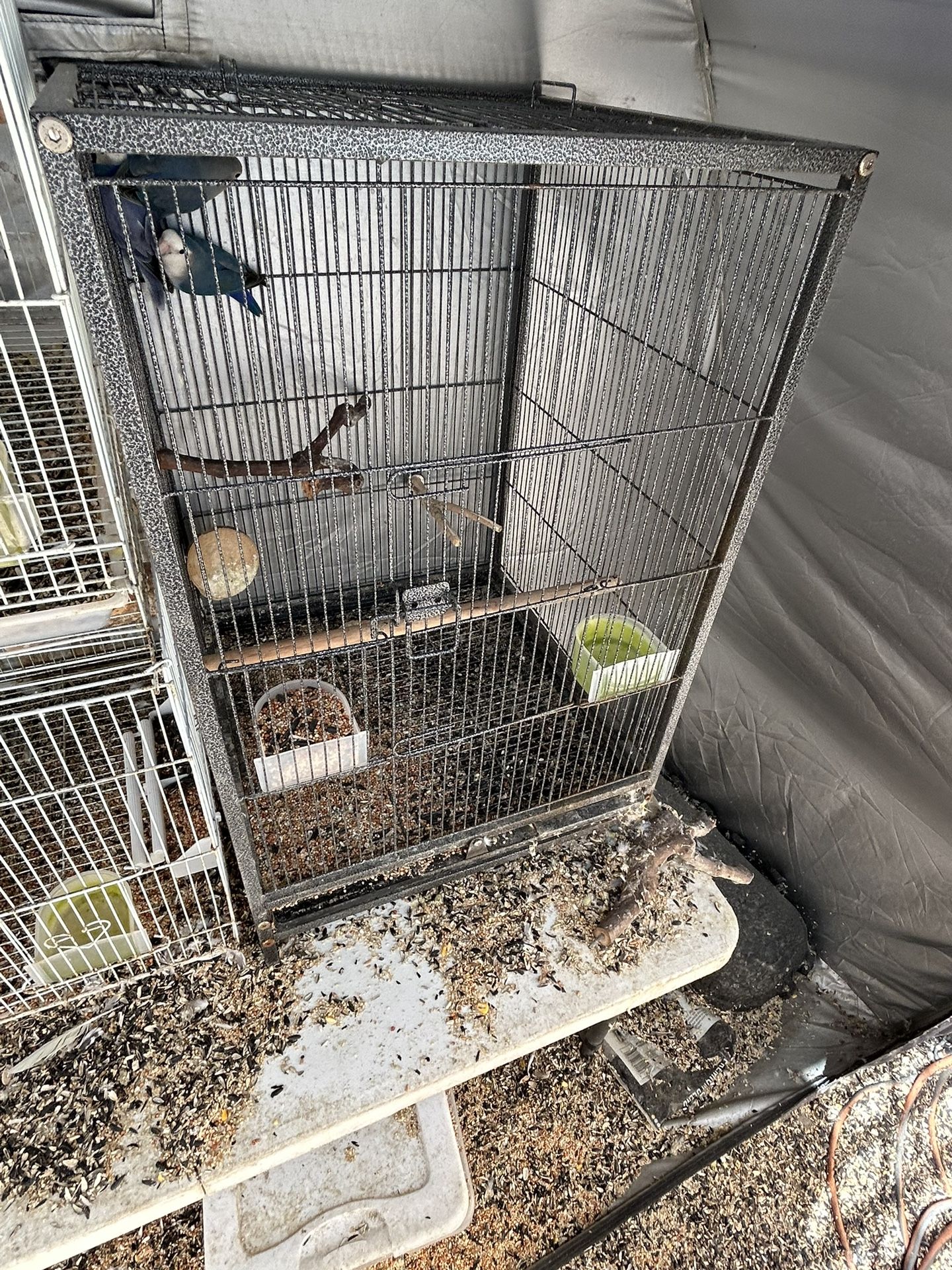 Cage