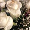 Jasmin