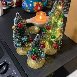 Three Bottle Brush Trees Light Up 