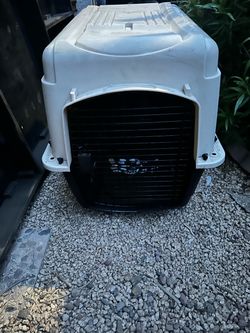 Large Plastic Dog Travel Crate