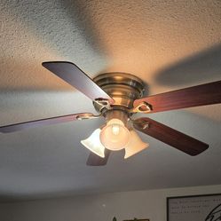 Ceiling Fan
