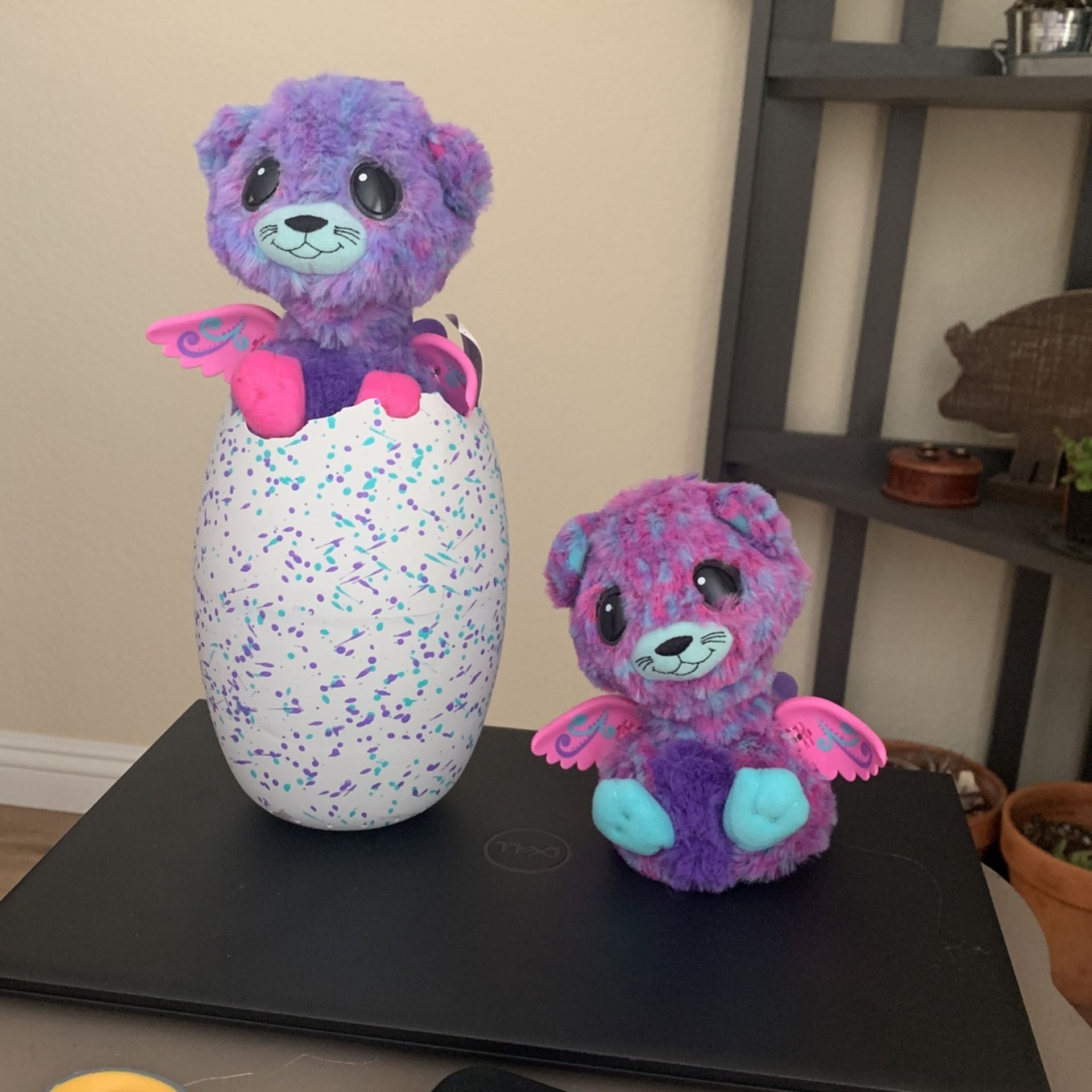 Hatchimals