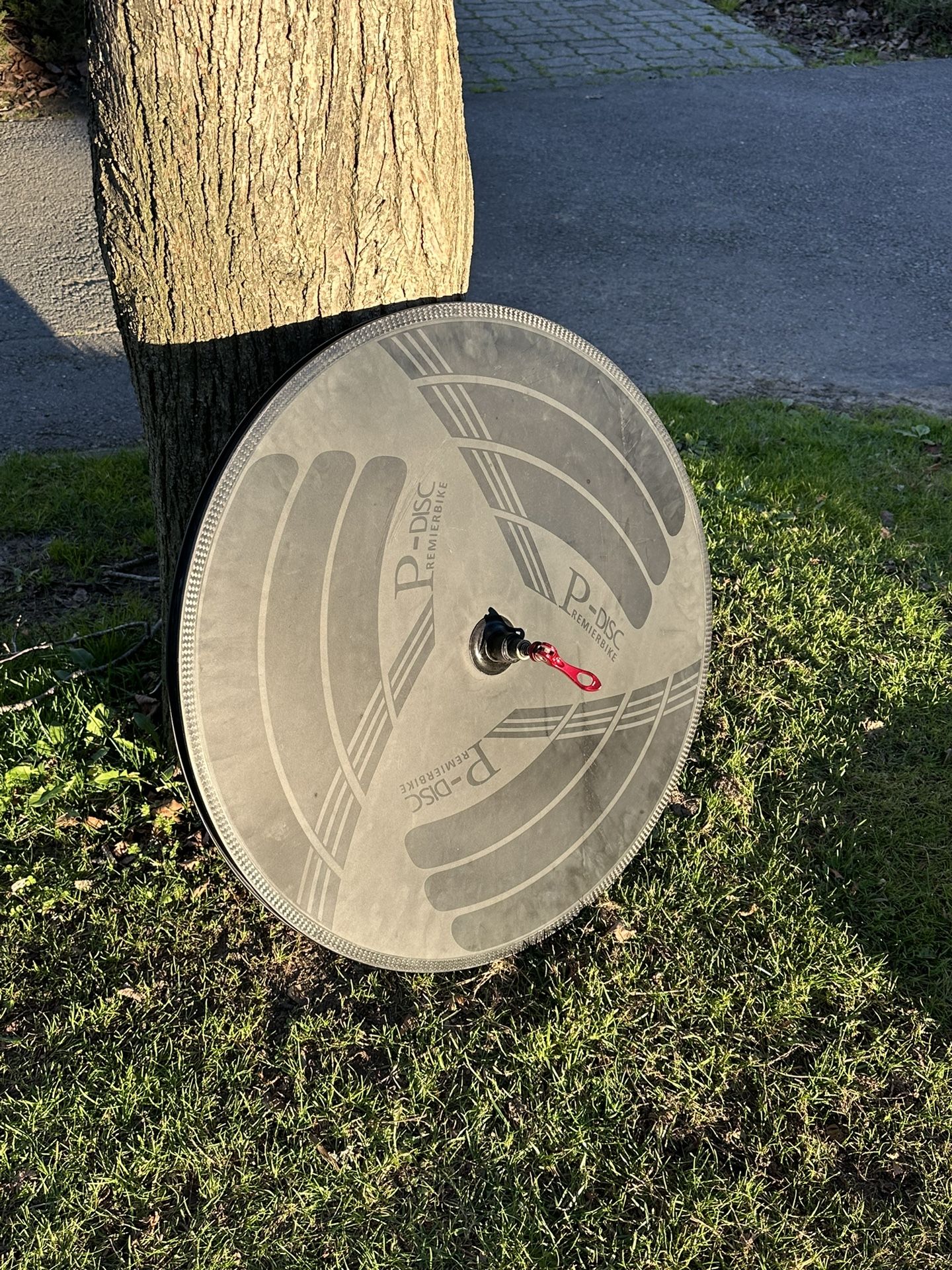 700c Carbon Fiber Disc Rear Wheel w/ Ultegra cassette