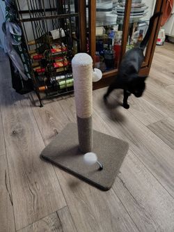 Cat Scratching Post with Pom-Pom Toys