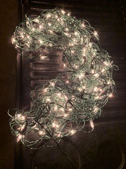 Net lights Christmas white light/clear seven dollars each