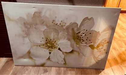 30 x 46 picture from IKEA