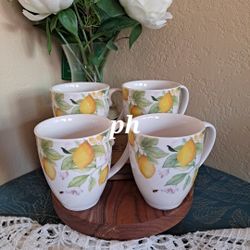 JUEGO DE 4 PLATOS PARA SOPA LIMONCELLO PRINCESS HOUSE 🌷⚘️