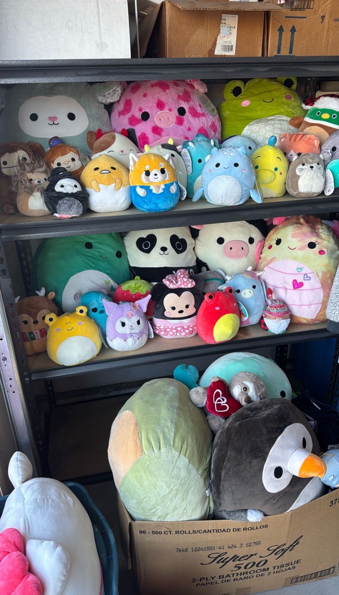 Squishmallow bundle