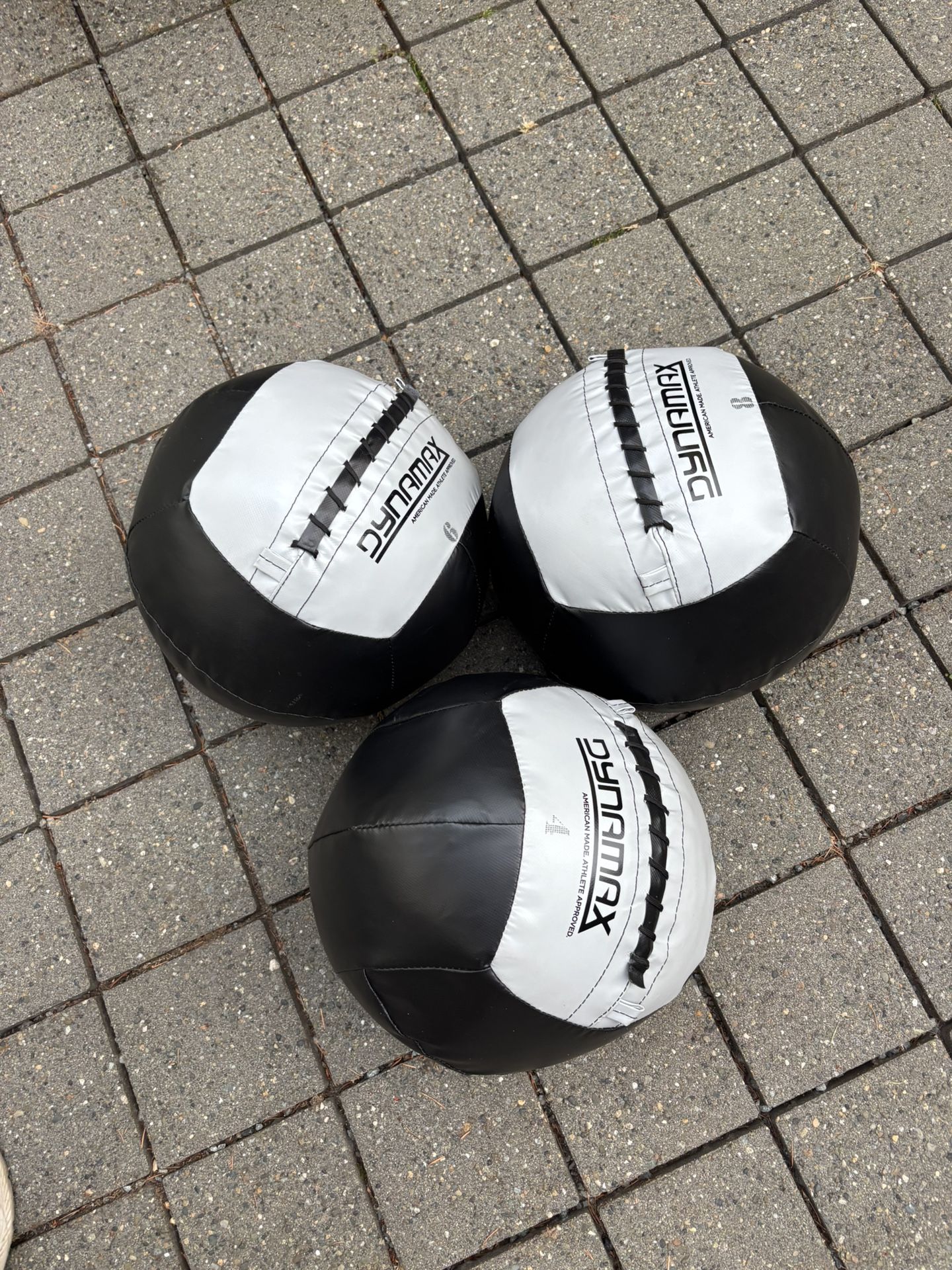 Gym Weight Balls