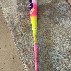 Easton Dun Baseball Bat