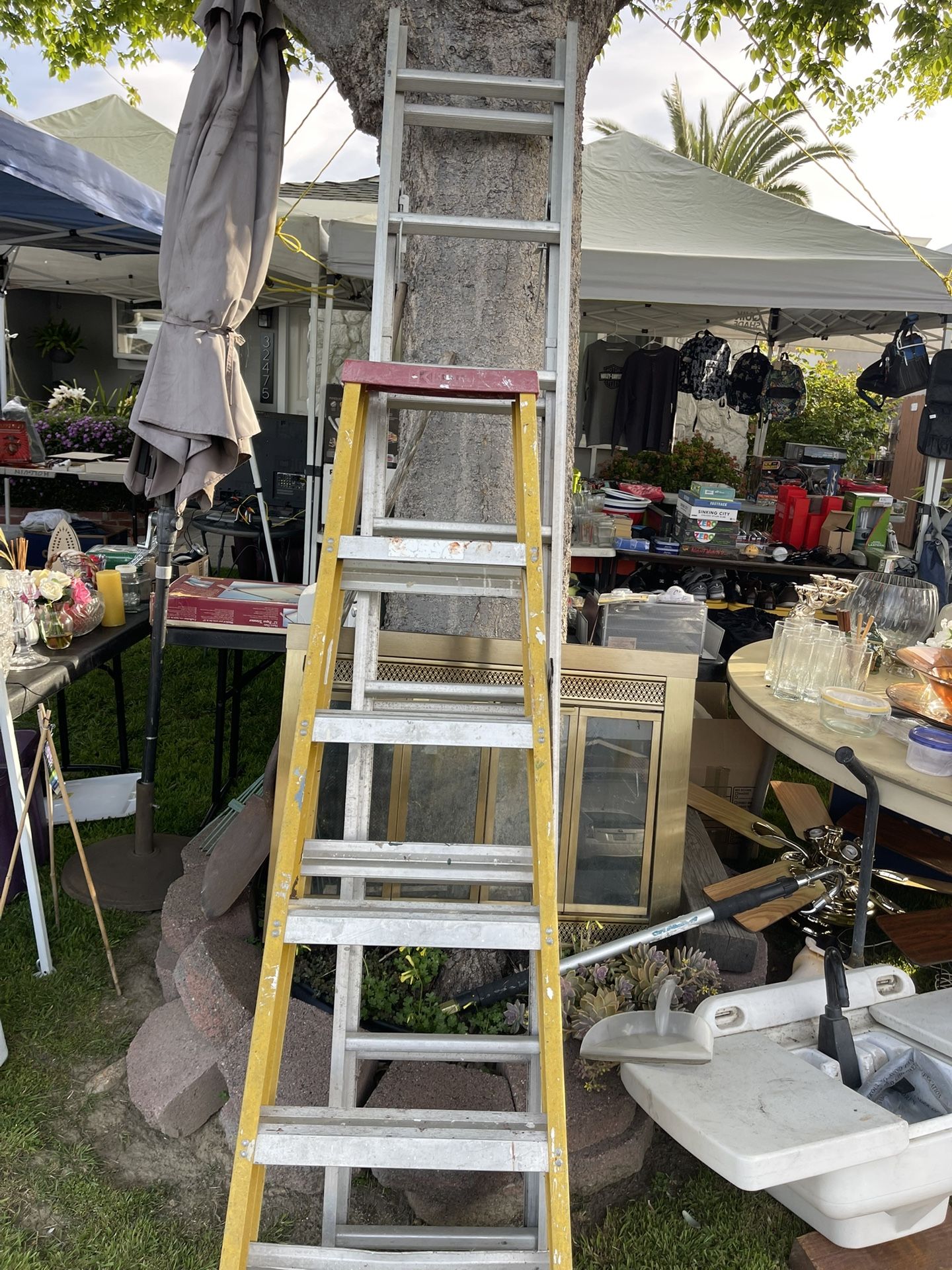 6 Foot Ladder