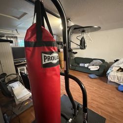 Dual Heavy Bag Stand And Bag