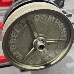 45lb Metal Plates 