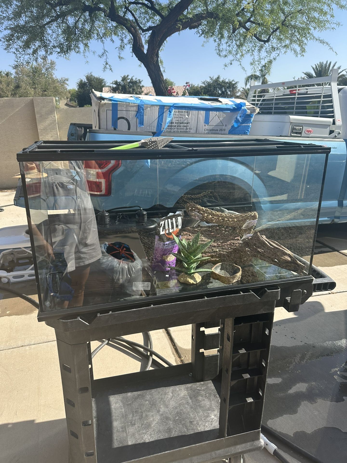 Bearded Dragon Tank