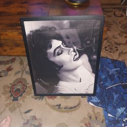 Tim Curry/ Rocky Horror Print And Frame 