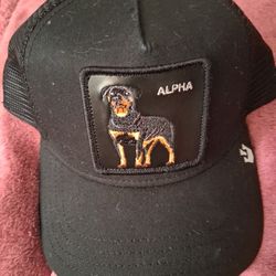 The Farm Goorin Bros hat. ALPHA
