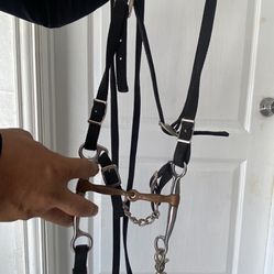 Nuevo Freno Para Caballo 