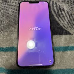 iPhone 13 Pro Max