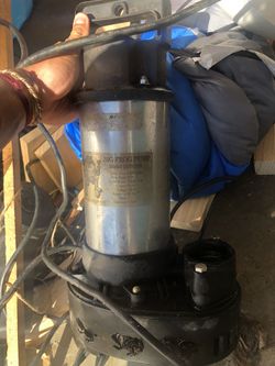 Water Pump - Big Frog
