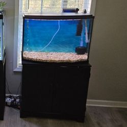36 Gallon Aquarium & Stand 