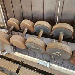 Weights Iron Grip 500lb's