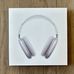 Air Pod Max (silver)