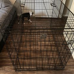 Dog Kennel