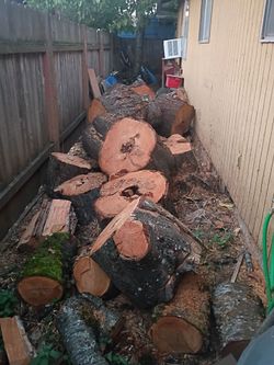 Cherry wood (pending)