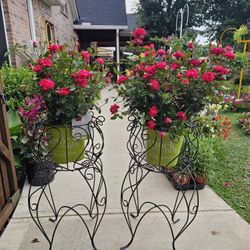 Black Metal Plant Stand. Yard Art, Plants, Planters. $55 each