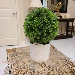 Home Decoration "Brand New "