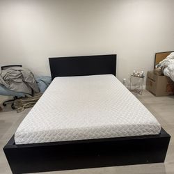 Queen Bed Frame 