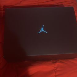 Jordans 11 gamma 9 1/2