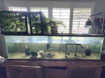 Fish tank