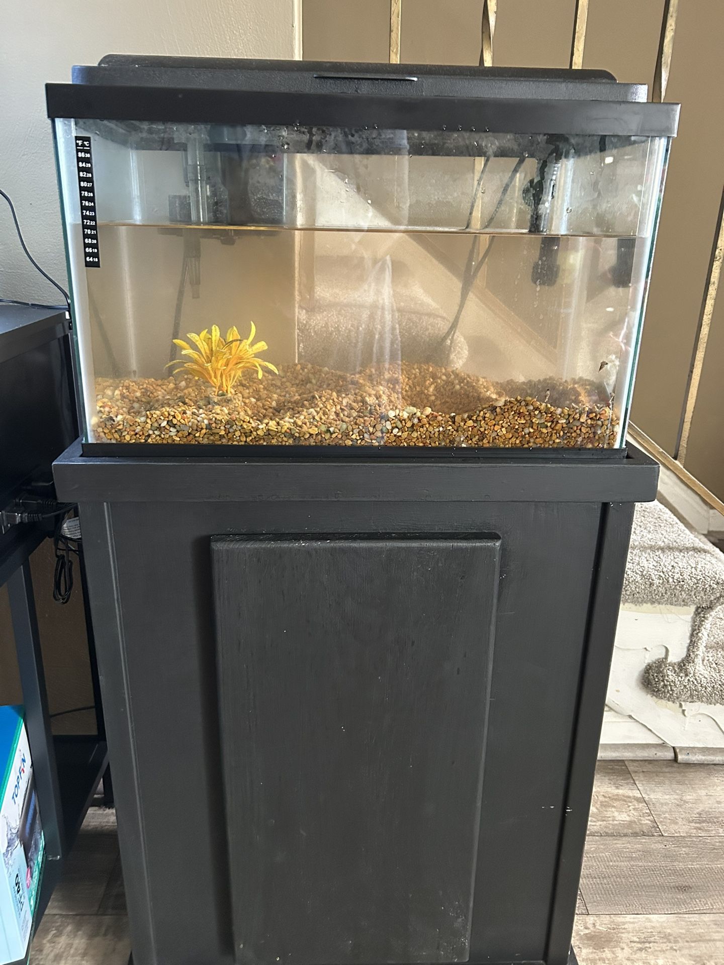 10 Gallon Fish Tank And Stand