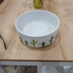 Dog Bowl