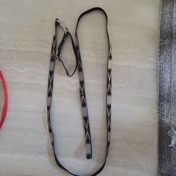 Dog Leach And Collar 
