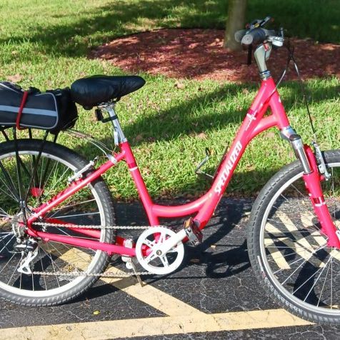 Specialized expedition low entry price hotsell