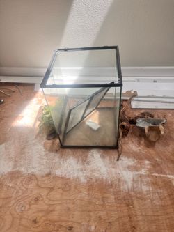 Glass Terrarium