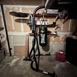 Punching Bag & Stand