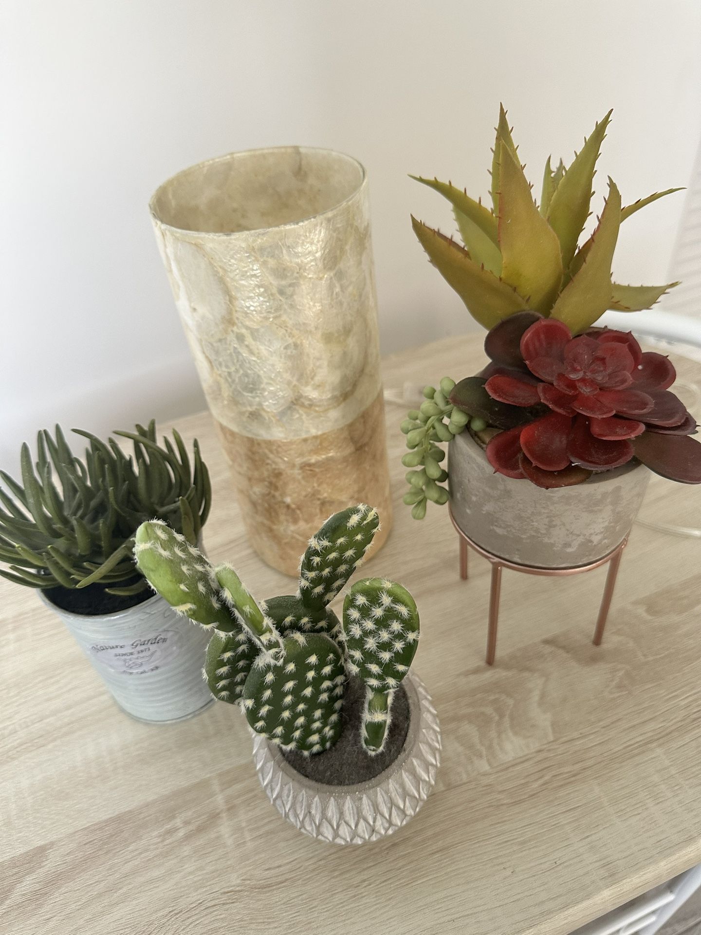 Fake Plants and Lamp