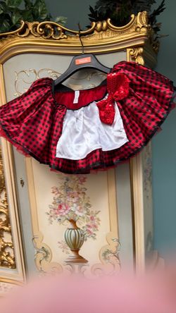 Skirt is in great condition