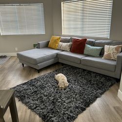 Light Grey Couch (L Shaped)