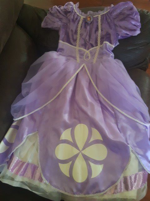 Dresses Sofia the first 5 and 6 years