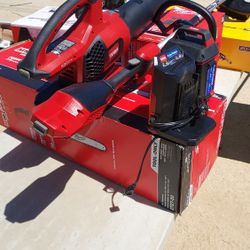 Toro Combo Blower & Weed Wacker  With  6.0 Battery  And Charger  